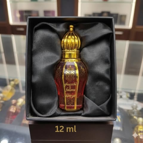 582057109 1907598140108090 3175797749054998724 n